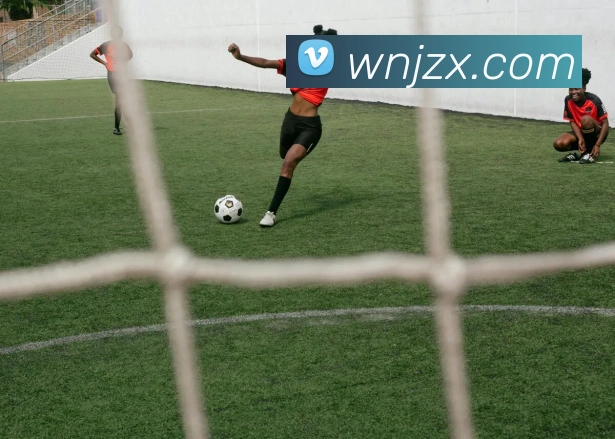 世界杯官方网络平台发展历程